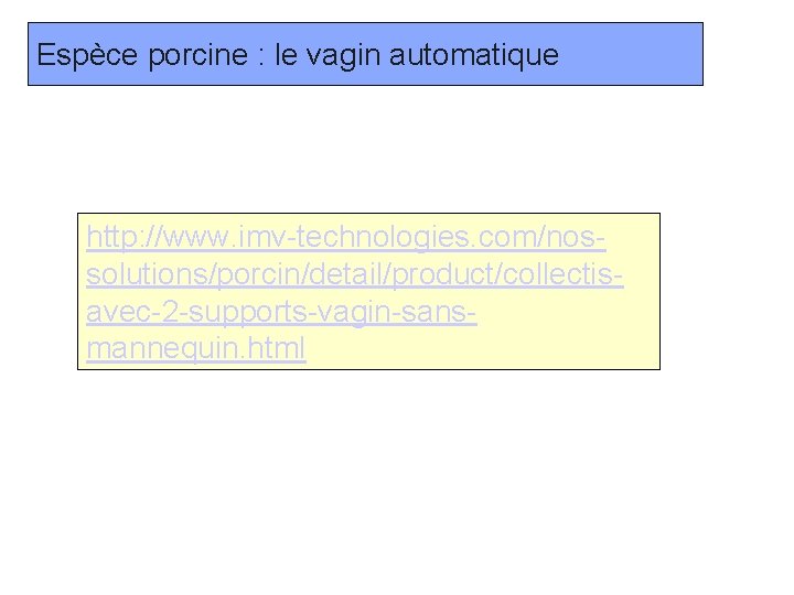 Espèce porcine : le vagin automatique http: //www. imv-technologies. com/nossolutions/porcin/detail/product/collectisavec-2 -supports-vagin-sansmannequin. html 