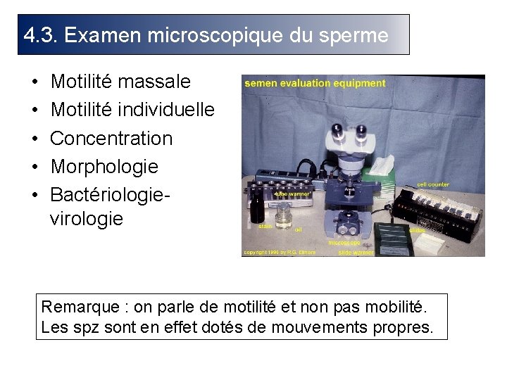 4. 3. Examen microscopique du sperme • • • Motilité massale Motilité individuelle Concentration