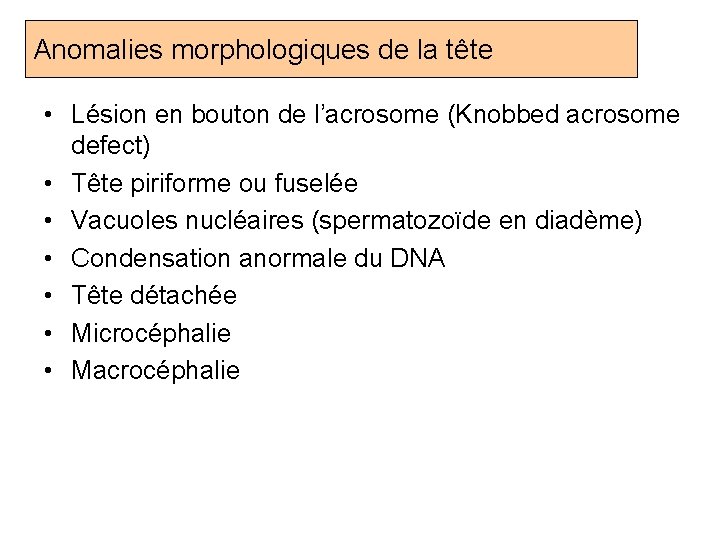 Anomalies morphologiques de la tête • Lésion en bouton de l’acrosome (Knobbed acrosome defect)