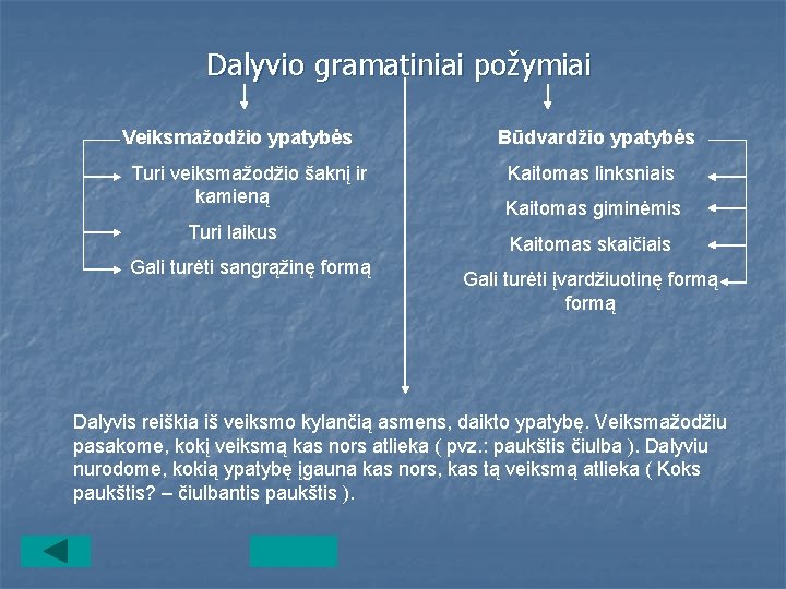 Dalyvio gramatiniai požymiai Veiksmažodžio ypatybės Turi veiksmažodžio šaknį ir kamieną Turi laikus Gali turėti