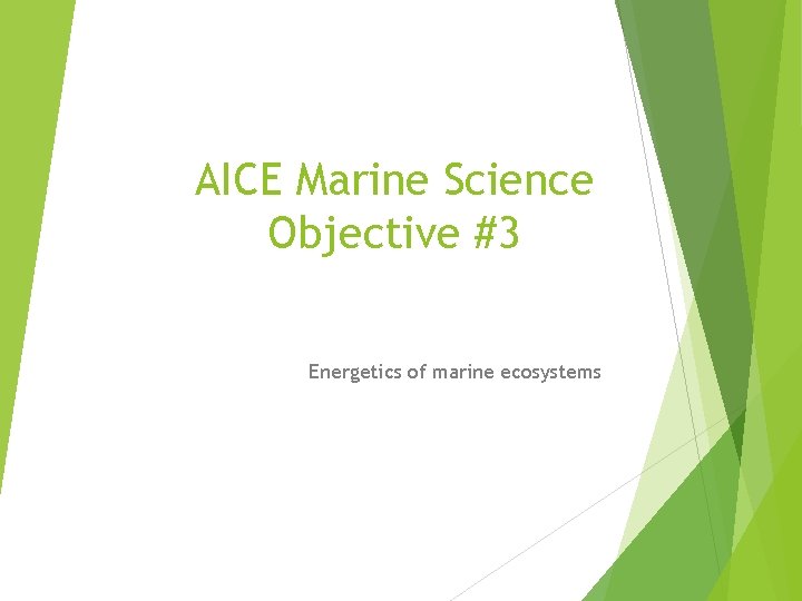 AICE Marine Science Objective #3 Energetics of marine ecosystems 