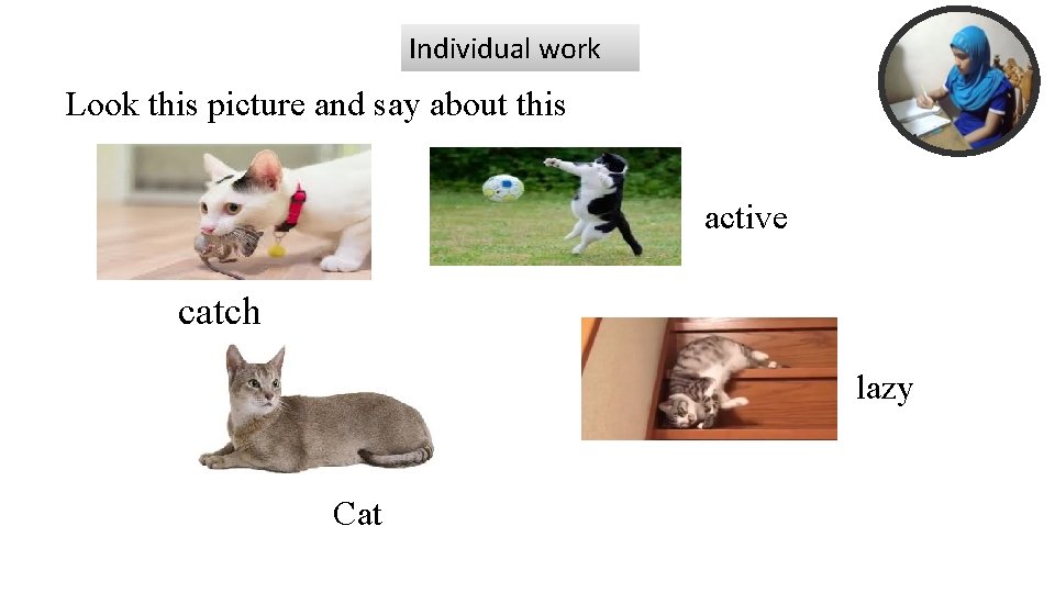 Individual work Look this picture and say about this active catch lazy Cat 