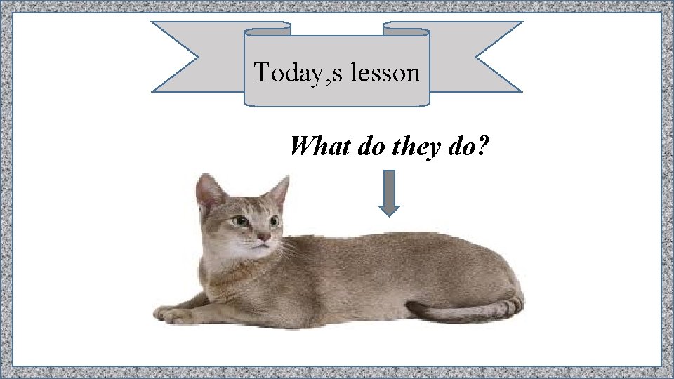 Today, s lesson What do they do? 