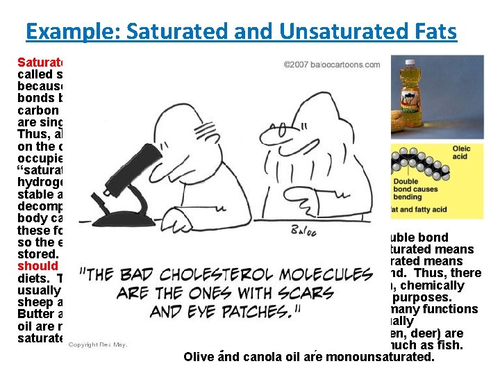 Example: Saturated and Unsaturated Fats Saturated fats are called saturated because all of the