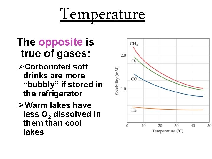 Temperature The opposite is true of gases: ØCarbonated soft drinks are more “bubbly” if