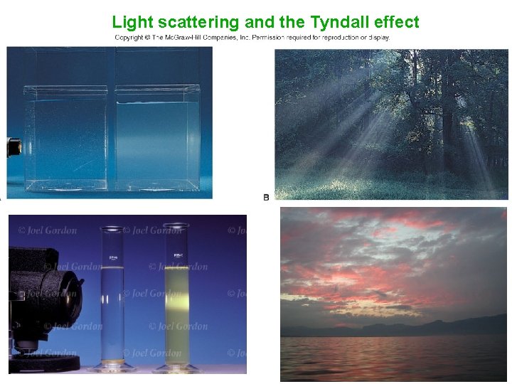 Light scattering and the Tyndall effect 