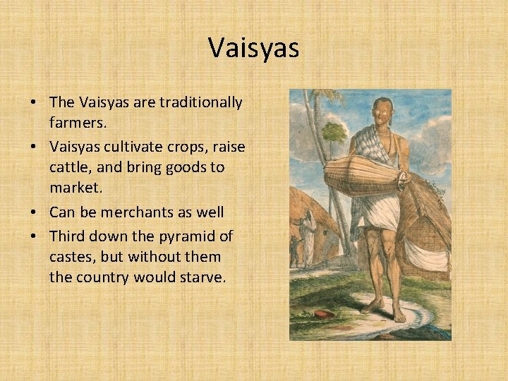 Vaisyas • The Vaisyas are traditionally farmers. • Vaisyas cultivate crops, raise cattle, and
