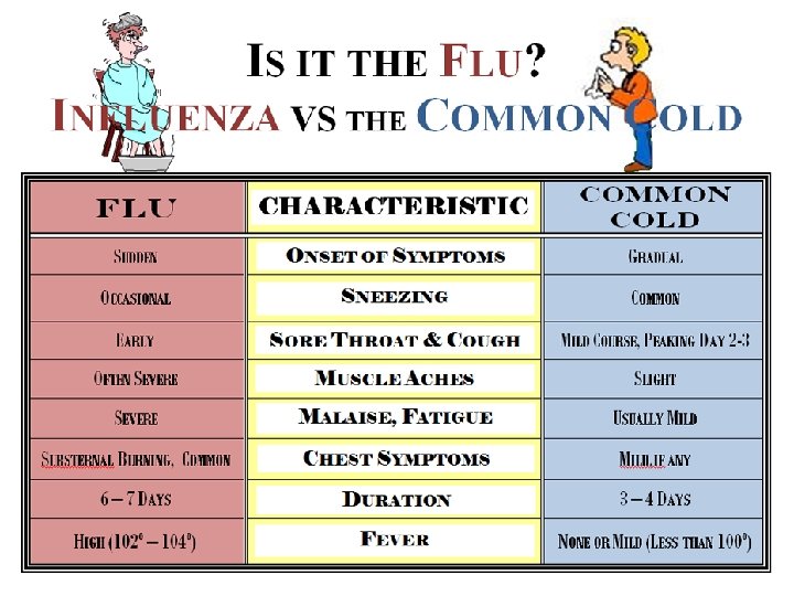 Differentiating between colds and flu • Flu often starts abruptly • Fever. . temperature