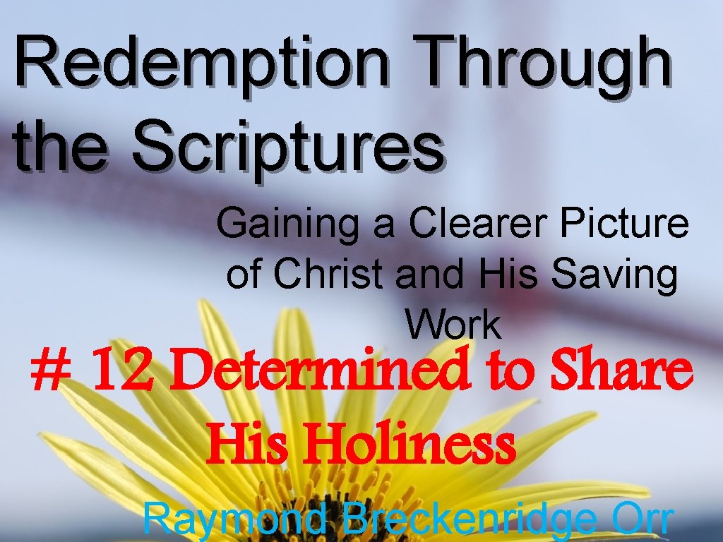 Redemption Through the Scriptures Gaining a Clearer Picture of Christ and His Saving Work