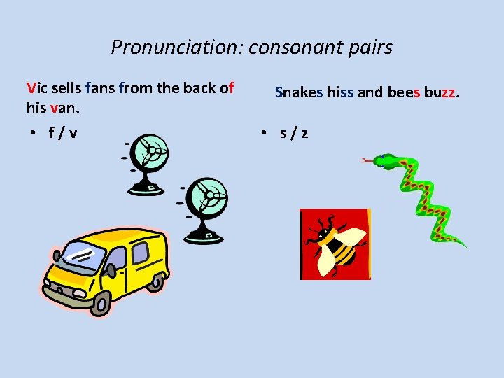 Pronunciation: consonant pairs Vic sells fans from the back of his van. • f/v