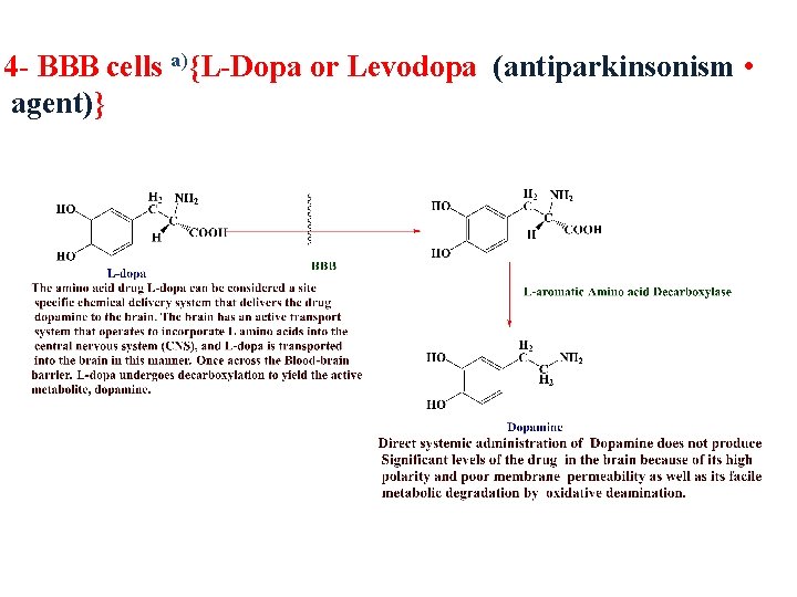 4 - BBB cells a){L-Dopa or Levodopa (antiparkinsonism • agent)} 