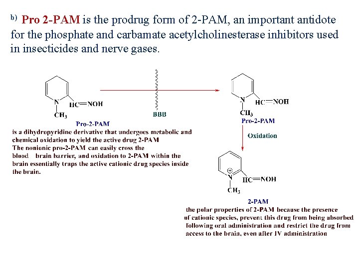 Pro 2 -PAM is the prodrug form of 2 -PAM, an important antidote for