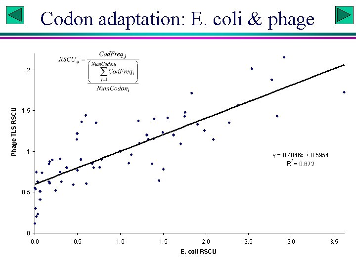 Codon adaptation: E. coli & phage Phage TLS RSCU 2 1. 5 1 y