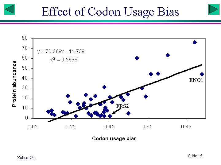 Effect of Codon Usage Bias 80 Protein abundance 70 y = 70. 398 x