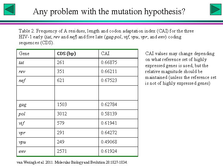 Any problem with the mutation hypothesis? Table 2. Frequency of A residues, length and