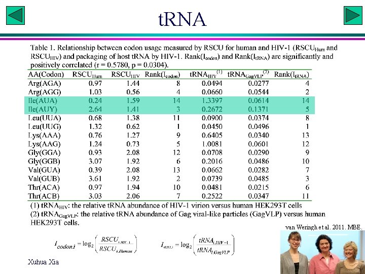 t. RNA van Weringh et al. 2011. MBE. Xuhua Xia Slide 26 