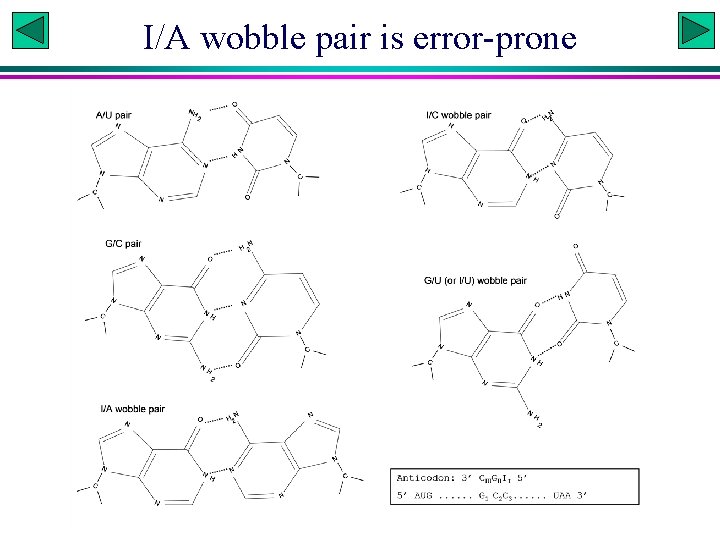 I/A wobble pair is error-prone 
