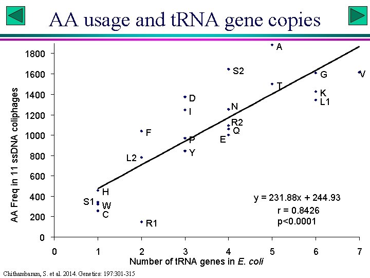 AA usage and t. RNA gene copies A 1800 S 2 AA Freq in