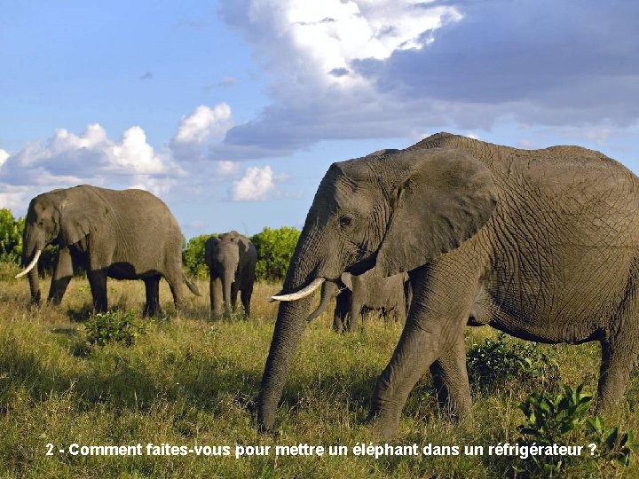 2 - Comment faites-vous pour mettre un éléphant dans un réfrigérateur ? 