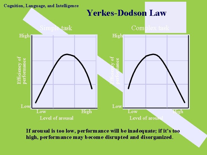 Cognition, Language, and Intelligence Yerkes-Dodson Law Simple task Complex task High Efficiency of performance