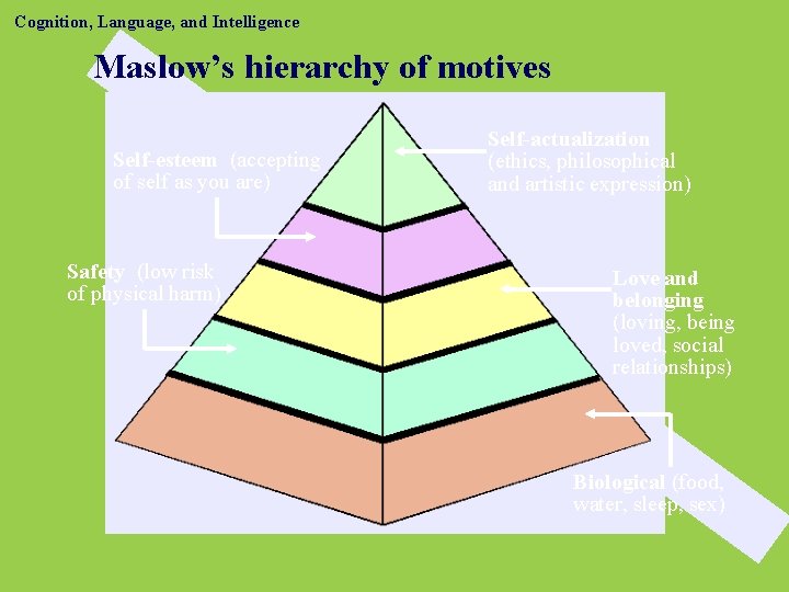 Cognition, Language, and Intelligence Maslow’s hierarchy of motives Self-esteem (accepting of self as you