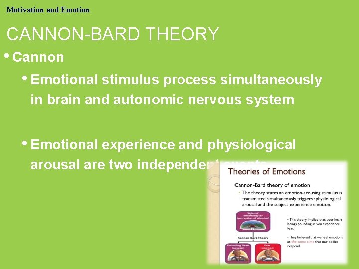 Motivation and Emotion CANNON-BARD THEORY • Cannon • Emotional stimulus process simultaneously in brain