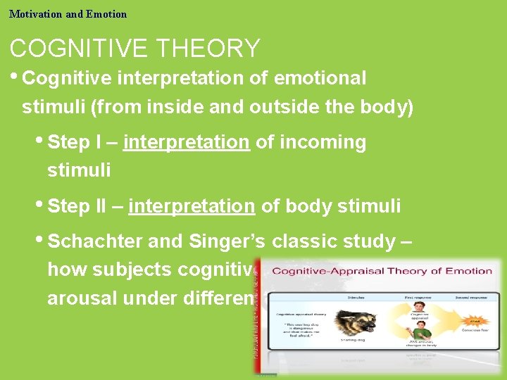 Motivation and Emotion COGNITIVE THEORY • Cognitive interpretation of emotional stimuli (from inside and