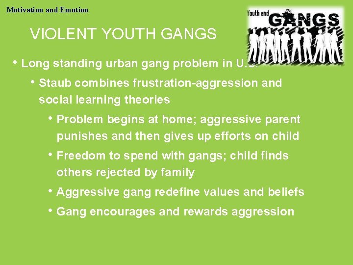 Motivation and Emotion VIOLENT YOUTH GANGS • Long standing urban gang problem in U.