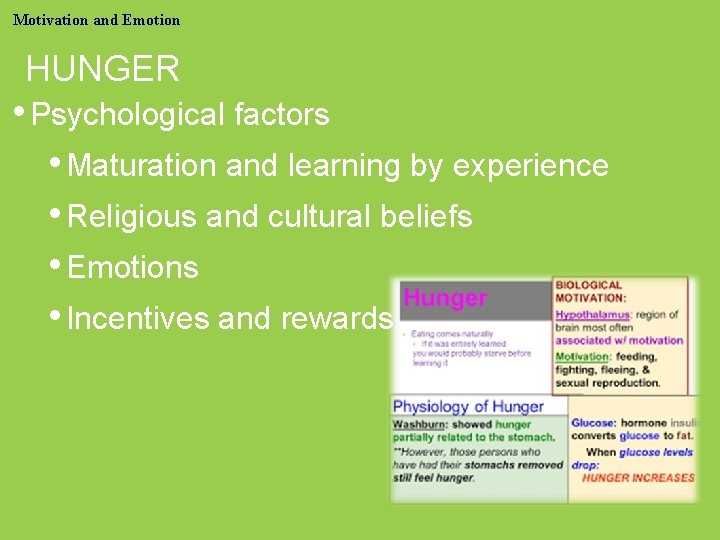 Motivation and Emotion HUNGER • Psychological factors • Maturation and learning by experience •