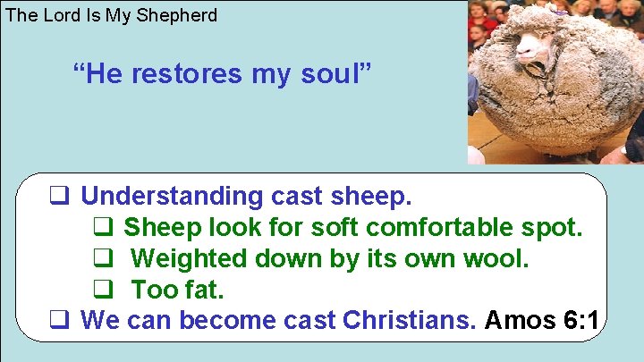 The Lord Is My Shepherd “He restores my soul” q Understanding cast sheep. q