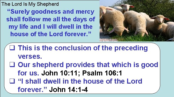 The Lord Is My Shepherd “Surely goodness and mercy shall follow me all the