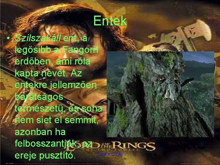 Entek • Szilszakáll ent, a legősibb a Fangorn erdőben, ami róla kapta nevét. Az