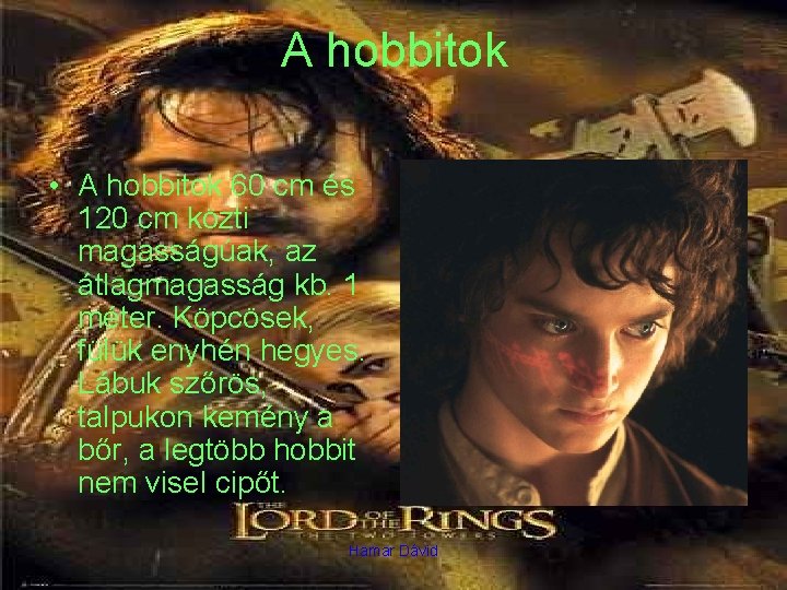 A hobbitok • A hobbitok 60 cm és 120 cm közti magasságúak, az átlagmagasság