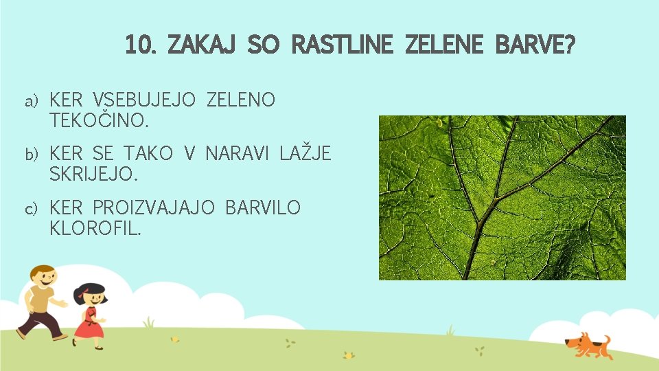 10. ZAKAJ SO RASTLINE ZELENE BARVE? a) KER VSEBUJEJO ZELENO TEKOČINO. b) KER SE