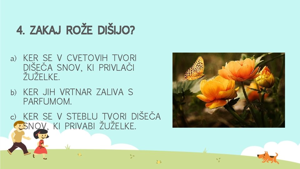 4. ZAKAJ ROŽE DIŠIJO? a) KER SE V CVETOVIH TVORI DIŠEČA SNOV, KI PRIVLAČI