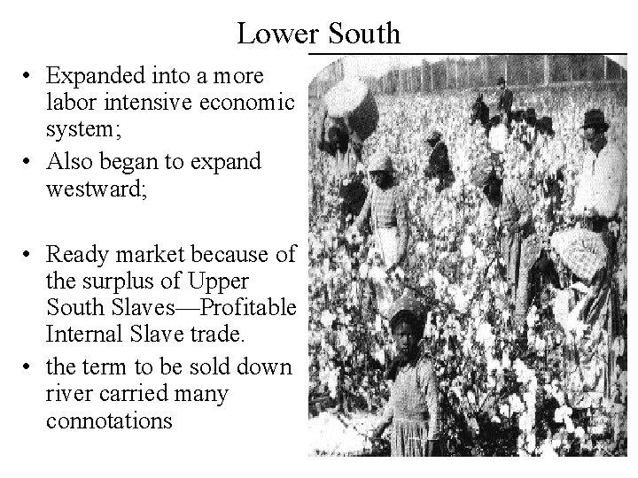 Lower South • Expanded into a more labor intensive economic system; • Also began