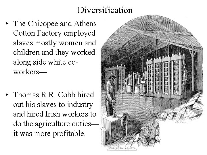 Diversification • The Chicopee and Athens Cotton Factory employed slaves mostly women and children