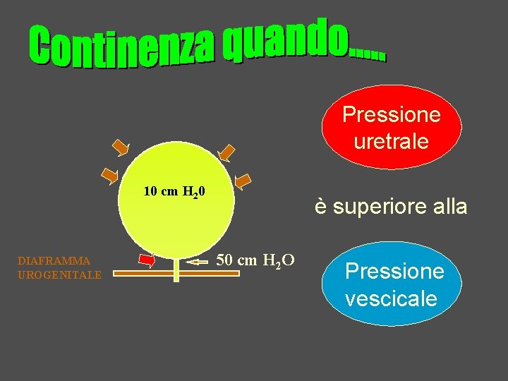 Pressione uretrale 10 cm H 20 DIAFRAMMA UROGENITALE è superiore alla 50 cm H