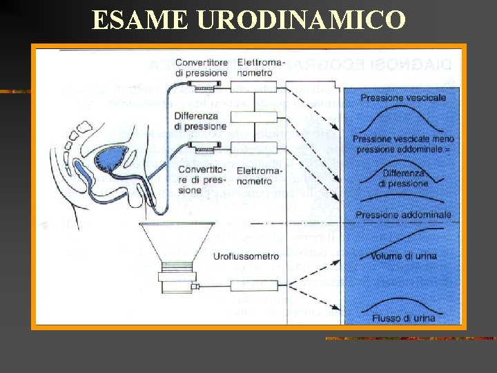 ESAME URODINAMICO 