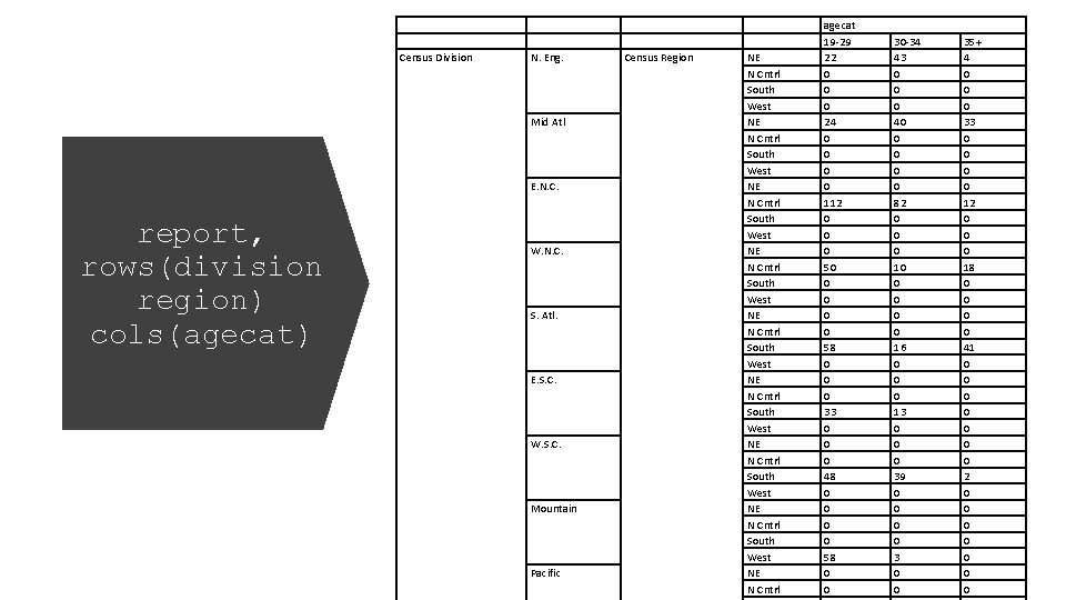 Census Division N. Eng. Mid Atl E. N. C. report, rows(division region) cols(agecat) W.