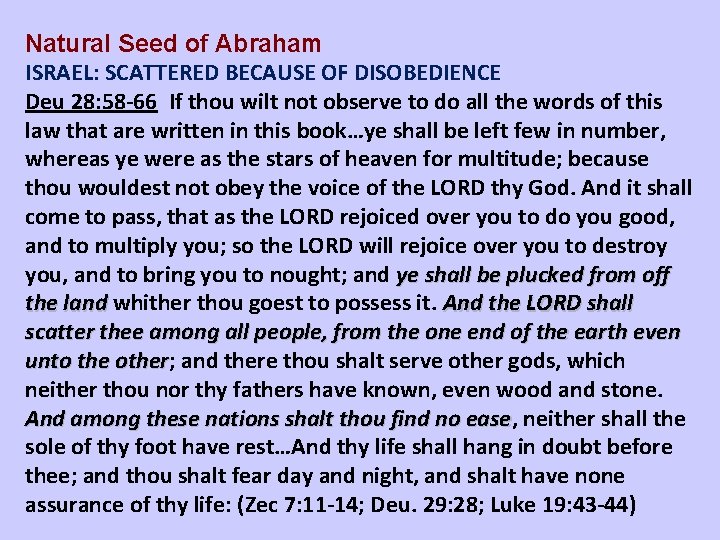 Natural Seed of Abraham ISRAEL: SCATTERED BECAUSE OF DISOBEDIENCE Deu 28: 58 -66 If