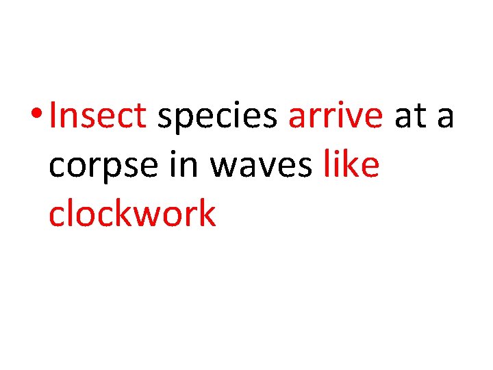  • Insect species arrive at a corpse in waves like clockwork 