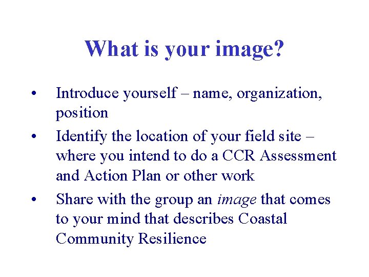 What is your image? • • • Introduce yourself – name, organization, position Identify