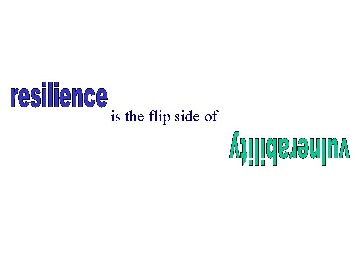 is the flip side of resilience 