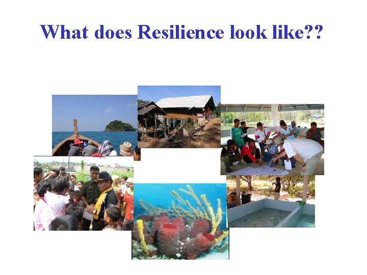 What does Resilience look like? ? 