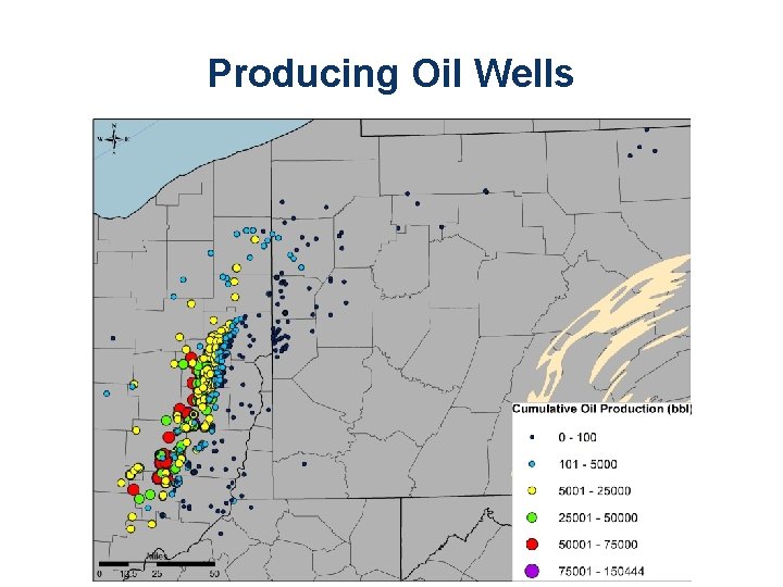 Producing Oil Wells 