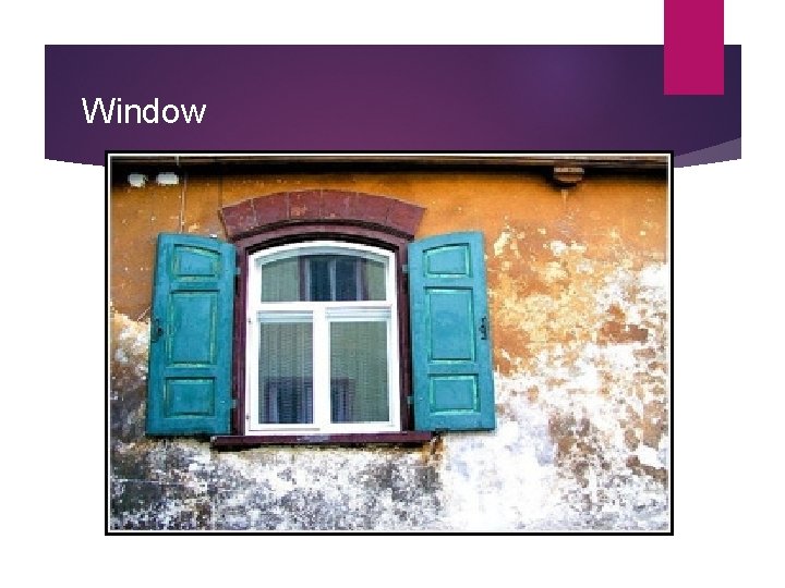 Window Exposure The Basics of Exposure Bryan Peterson has written