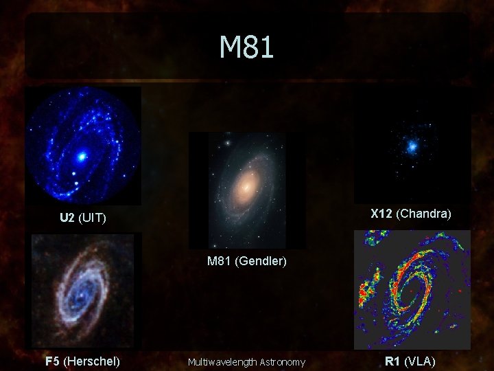 M 81 X 12 (Chandra) U 2 (UIT) M 81 (Gendler) F 5 (Herschel)