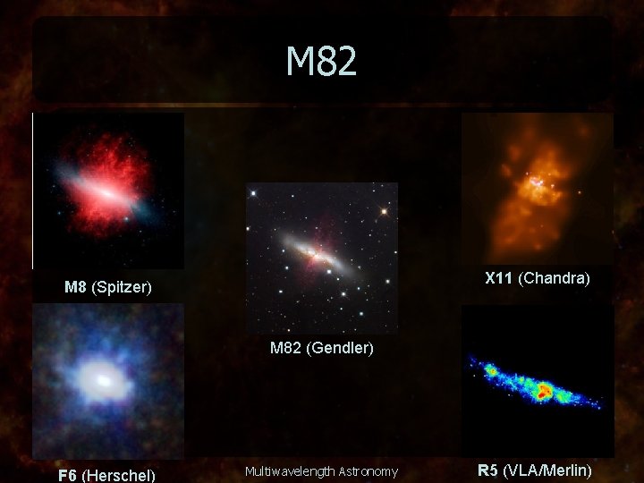 M 82 X 11 (Chandra) M 8 (Spitzer) M 82 (Gendler) F 6 (Herschel)