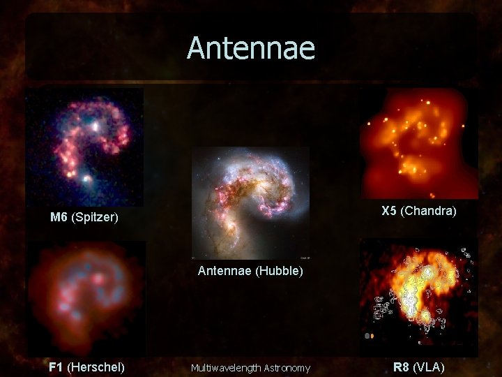 Antennae X 5 (Chandra) M 6 (Spitzer) Antennae (Hubble) F 1 (Herschel) Multiwavelength Astronomy